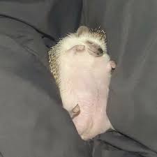 이편한치과 이미지