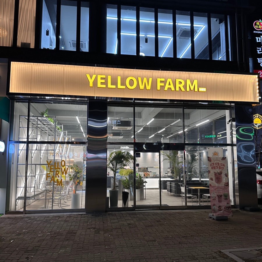 옐로우팜광주 이미지
