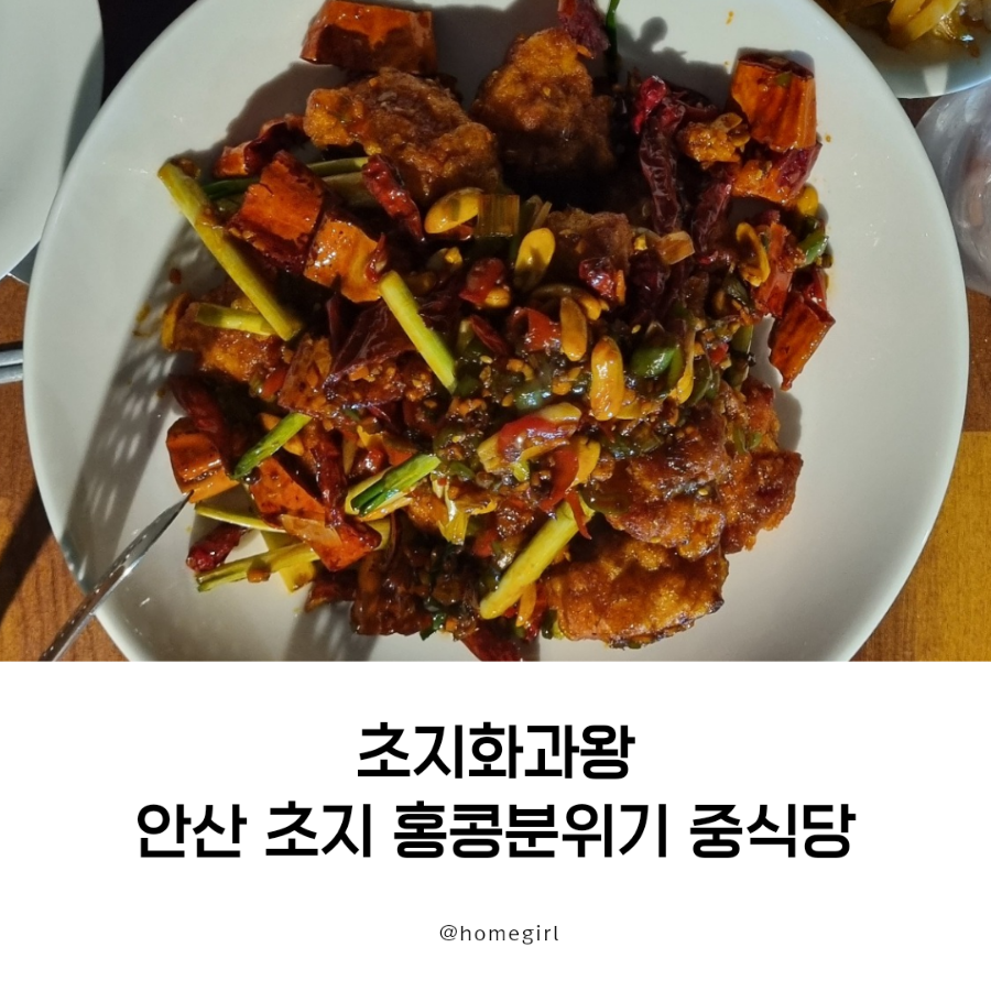 초지화과왕 이미지