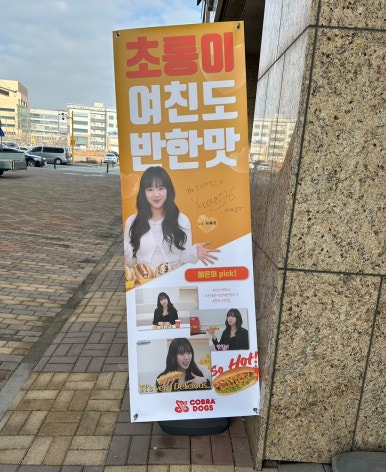 코브라독스 내포신도시점 이미지