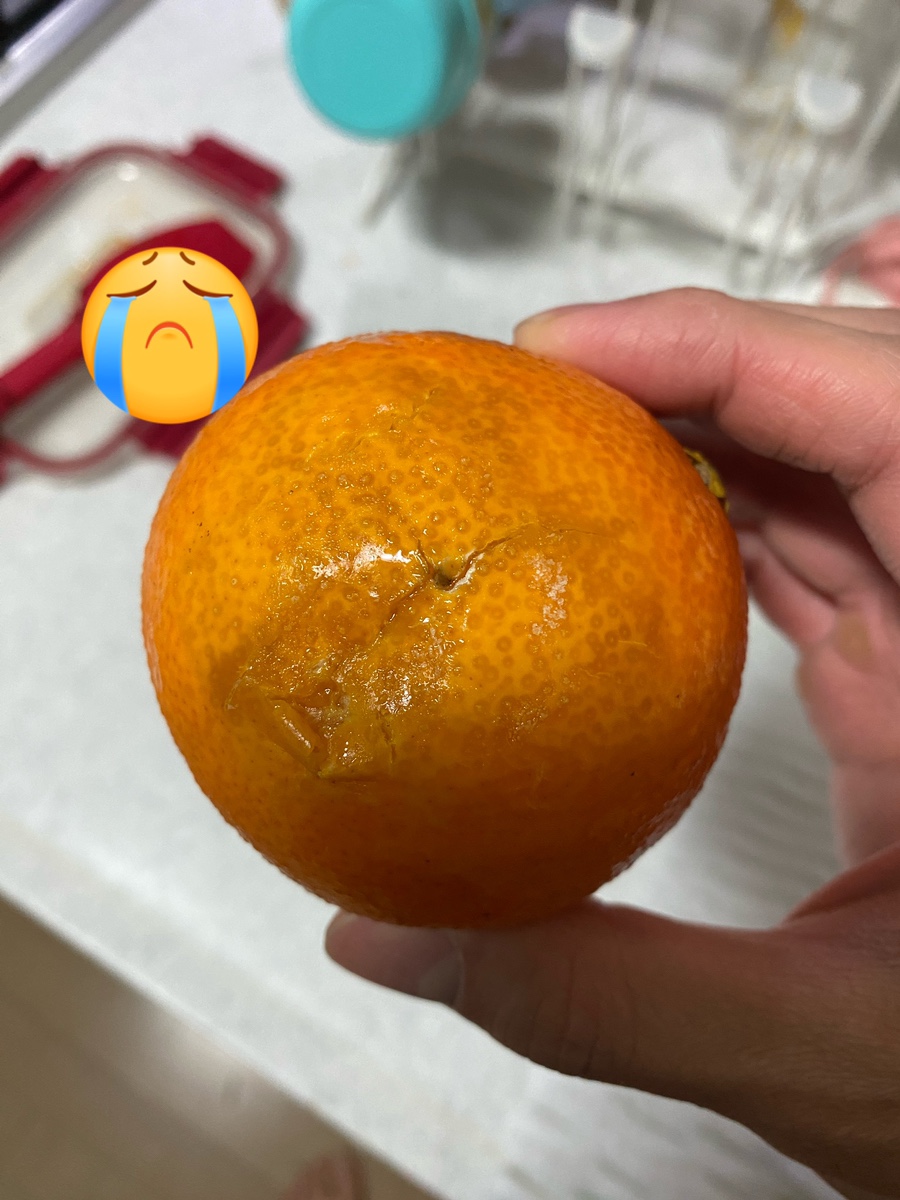 모드락농원 이미지
