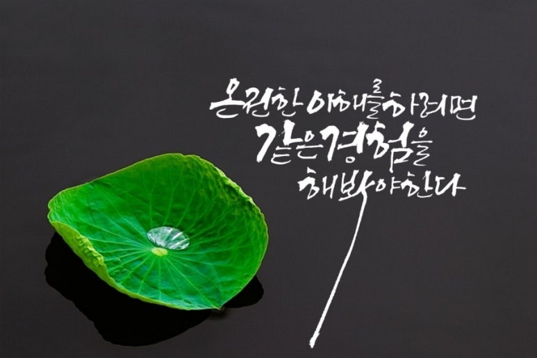행복법무사 이미지