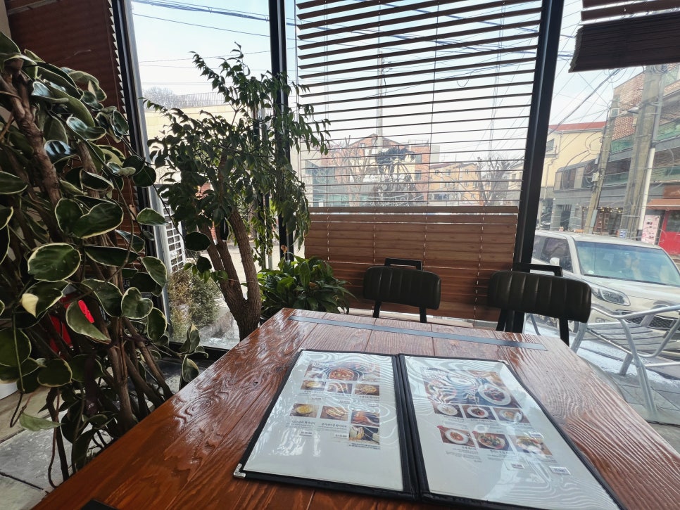 엘시네 이미지