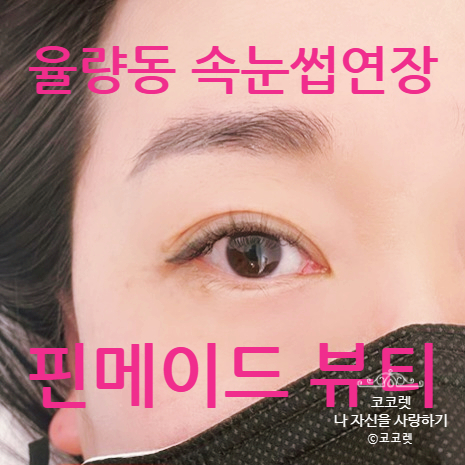 핀메이드 이미지