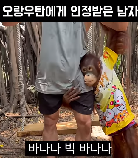 장충동왕족발보쌈 이미지