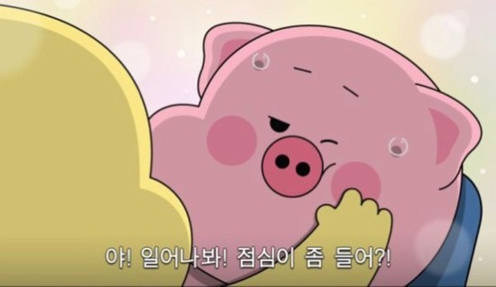 속초세꼬시 이미지