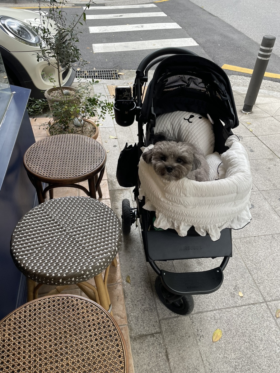 떼르드카페 이미지