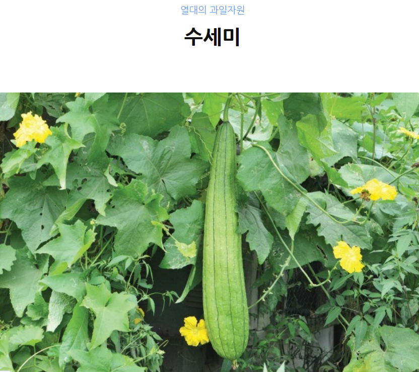 디엠유통 이미지