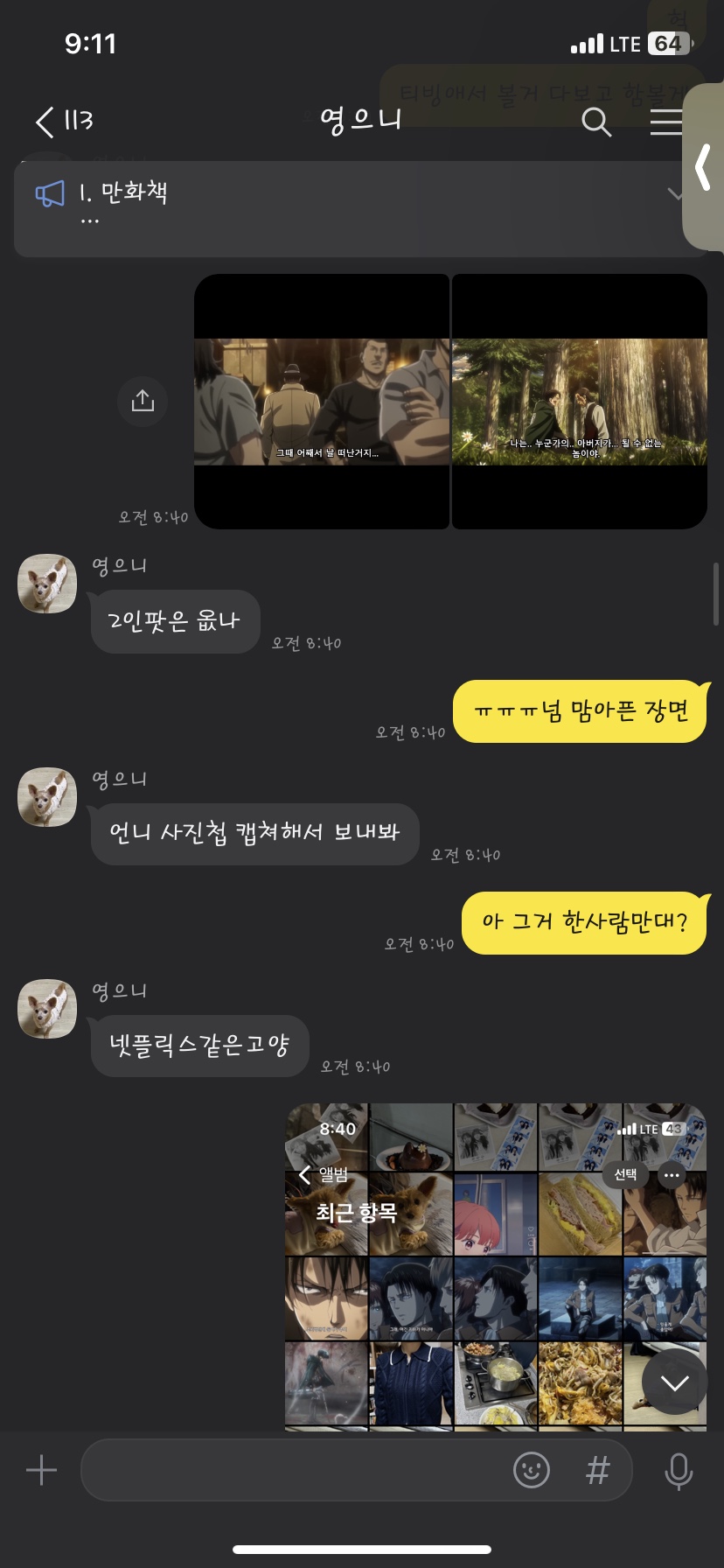 솔로몬냉동 이미지