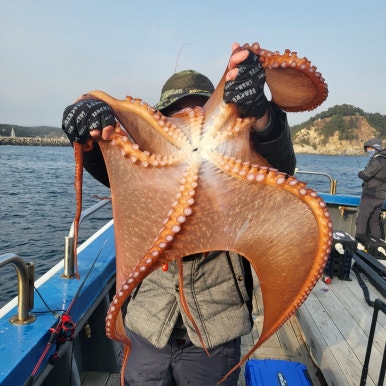 동해호 이미지