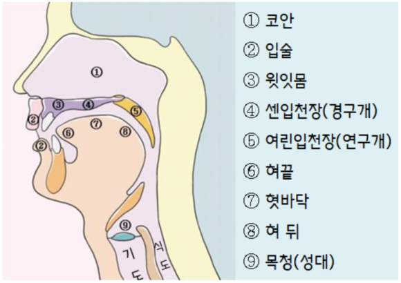 이야기언어발달센터 이미지