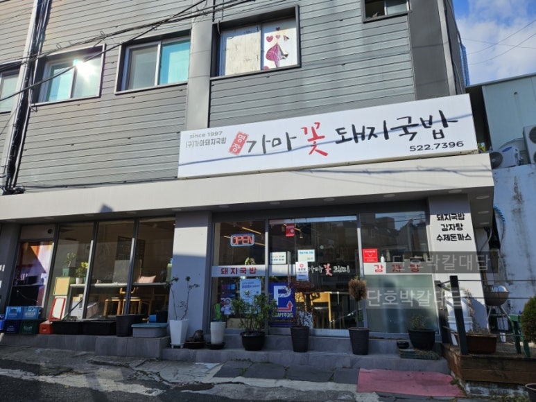 가마꽃돼지 이미지