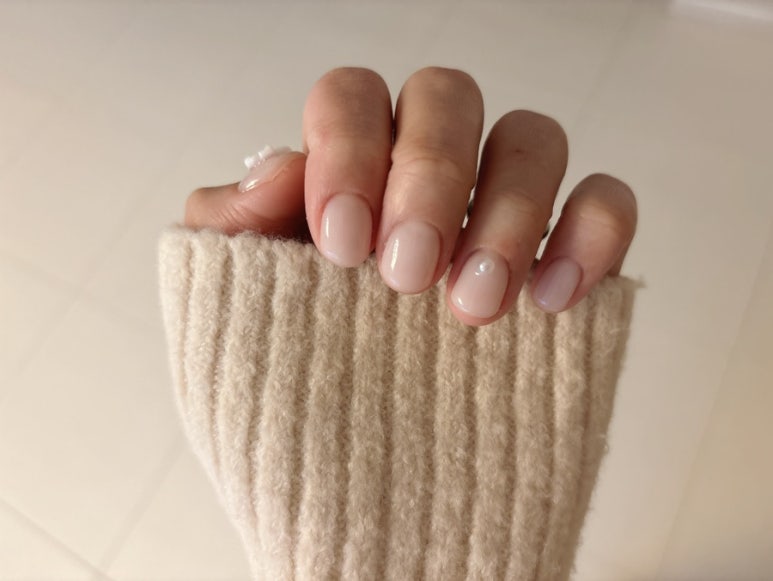 비앤브이 이미지
