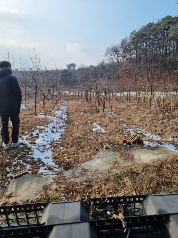 묵리주유소 이미지