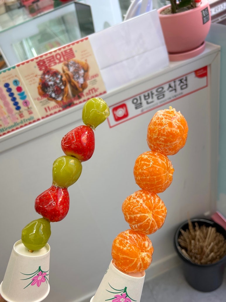 지세포포 이미지
