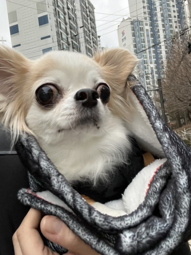 늘솜샌드 이미지
