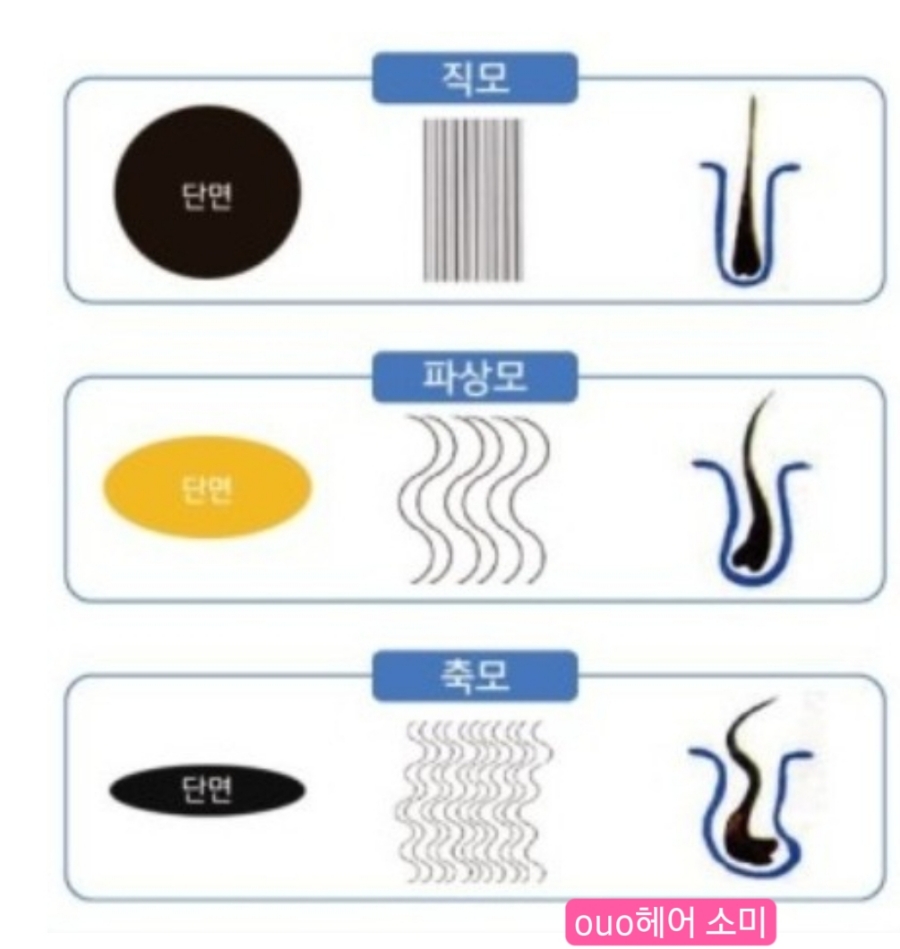 오유오(OUO) 이미지