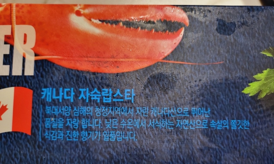 지에스더프레시북 이미지