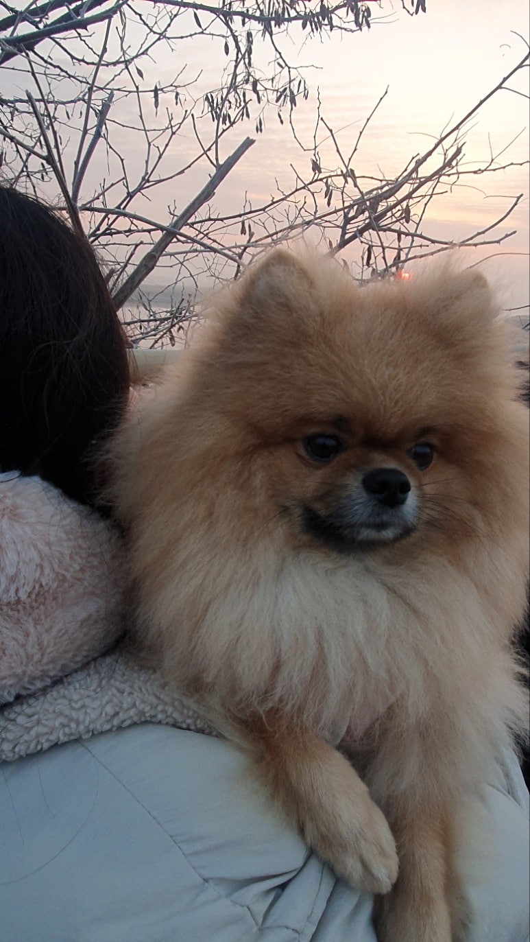 찬*이* 이미지