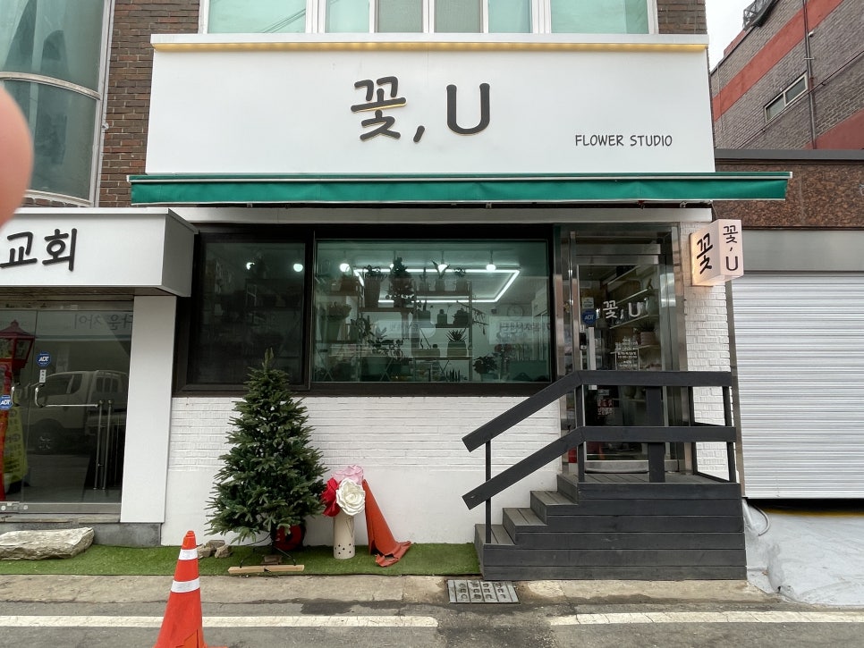 꽃;U 이미지