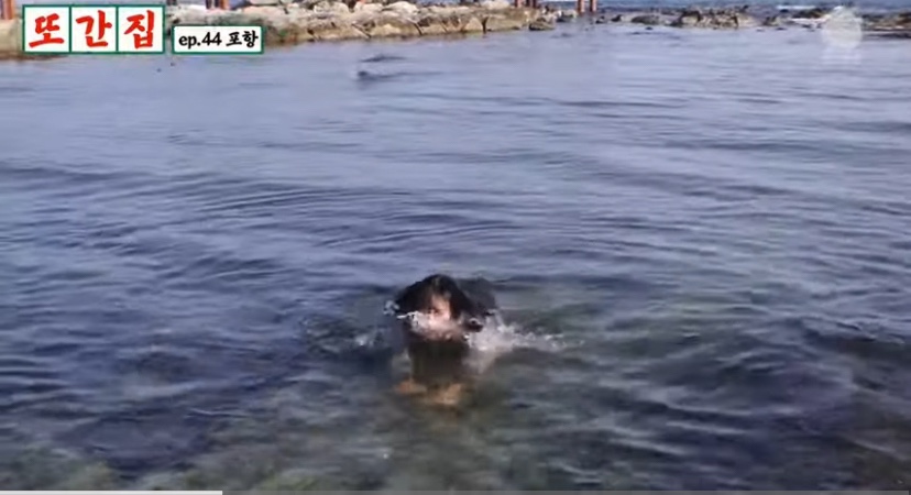 청하분식 이미지
