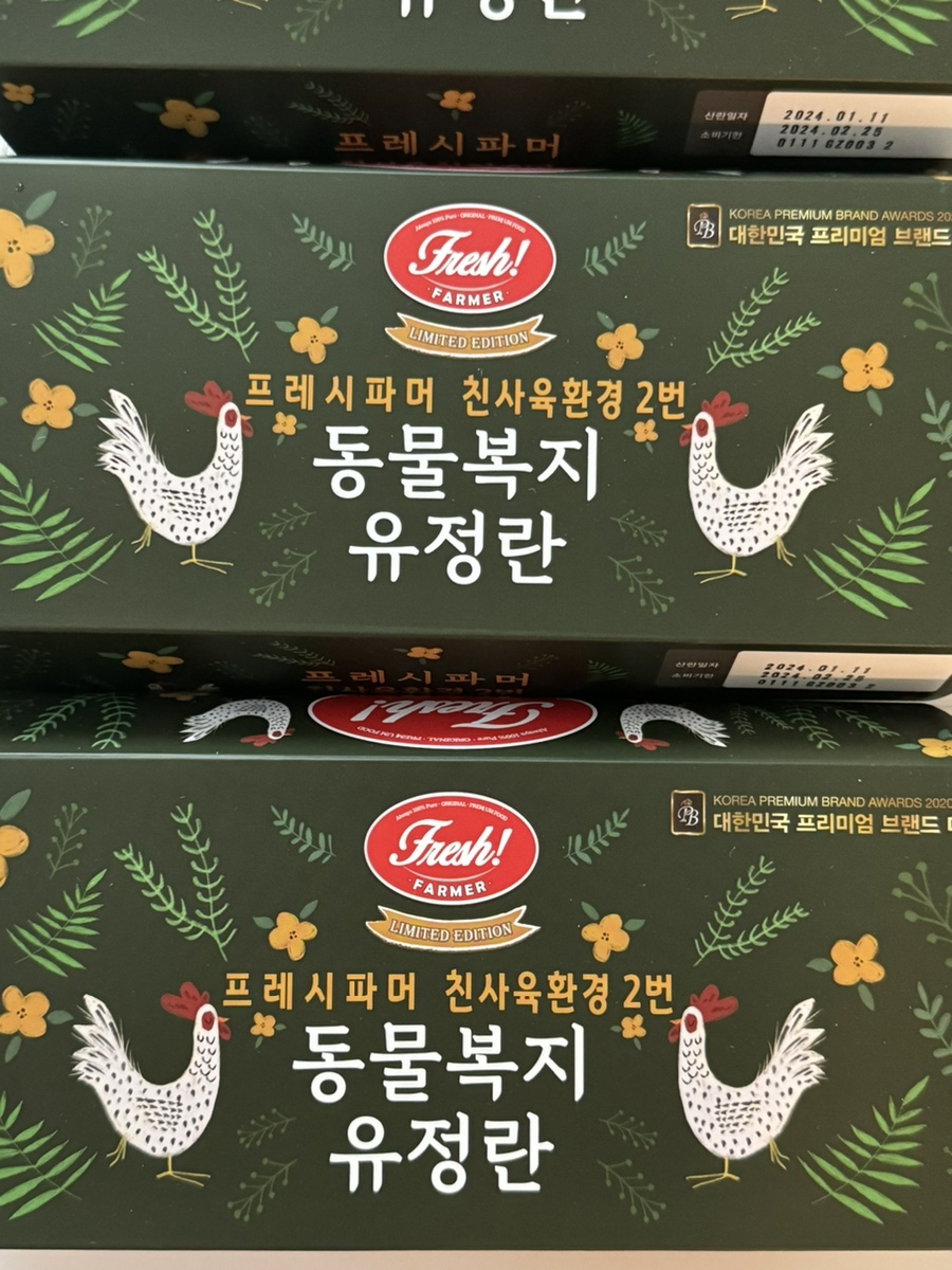 템파머 이미지