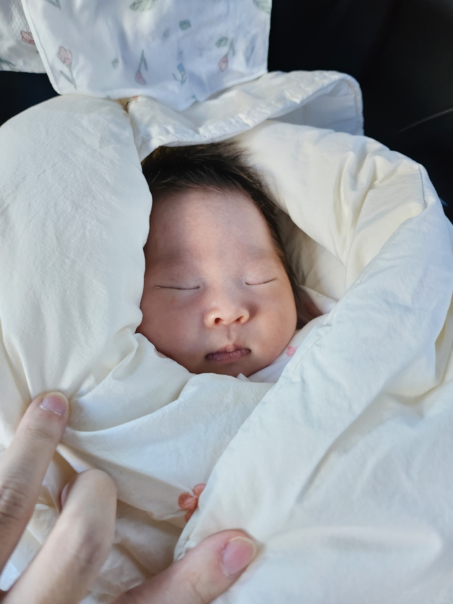 군밤천국 이미지
