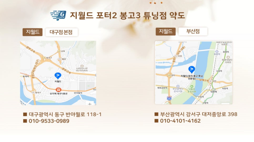 지월드 이미지