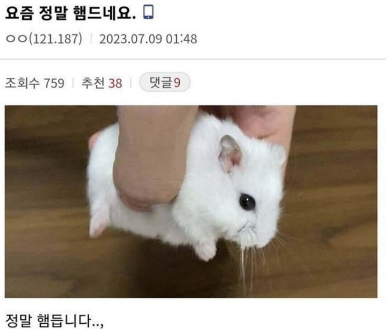 레스베러 이미지