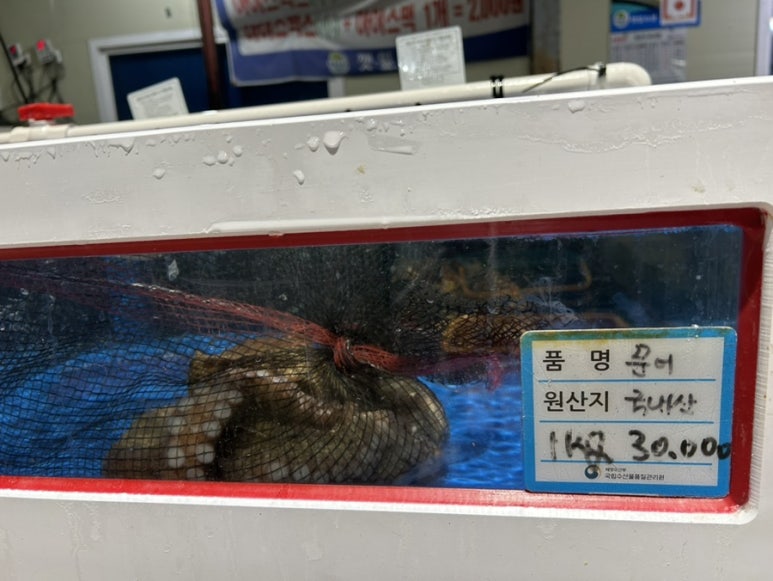 수산물도소매쎈터 이미지