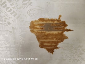 홈클린365 이미지