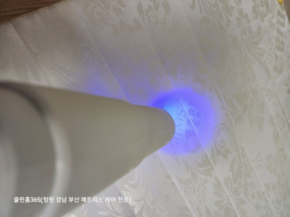 홈클린365 이미지