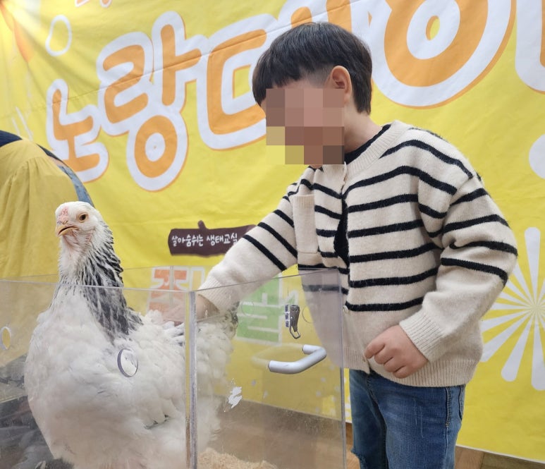 키즈미래어린이집 이미지