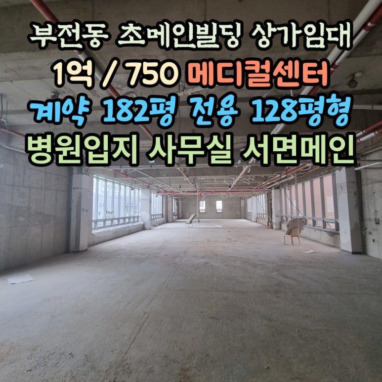 메디컬아트스튜디오 이미지