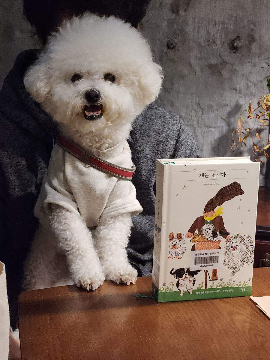 카페티그레 이미지