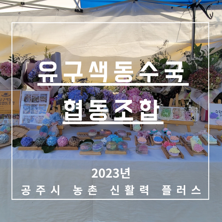 유구색동수국협동조합 이미지