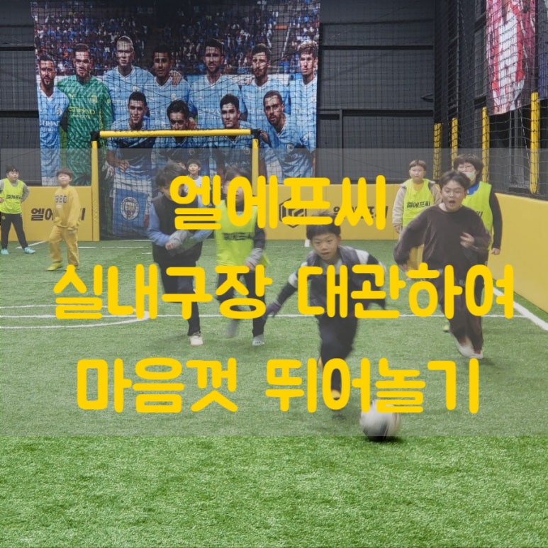 엘에프씨 이미지