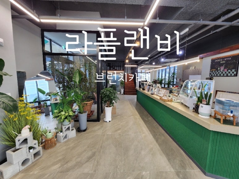 비카페 이미지