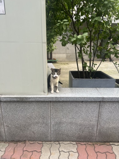 다은식품 이미지