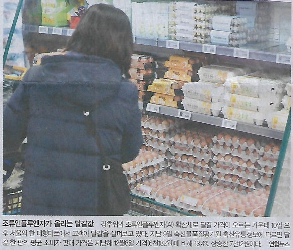 헬스나라 이미지