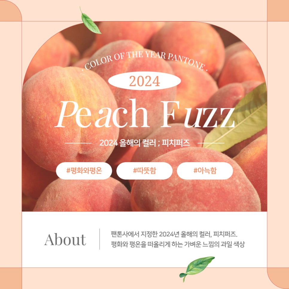컬러인사이트 이미지