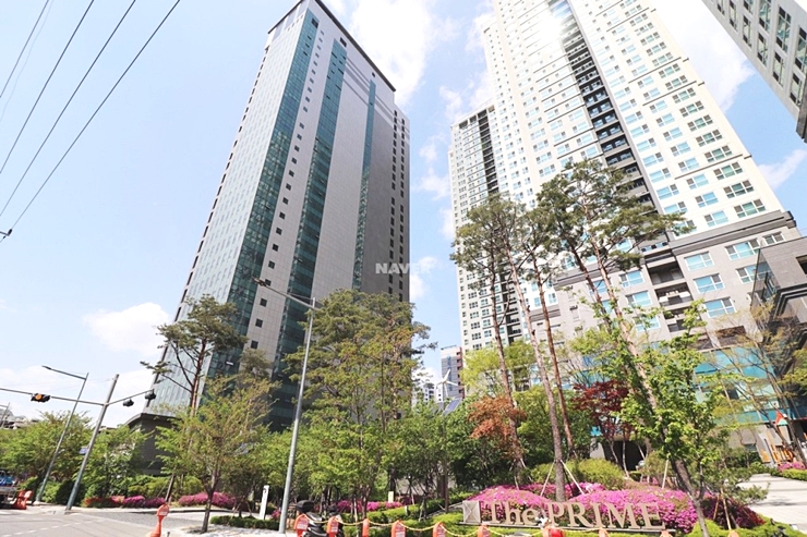 용산559 이미지