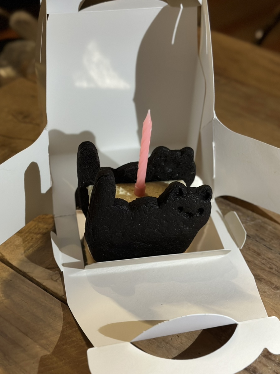 앞터 이미지