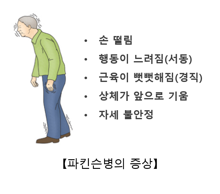 인모션재활트레이닝센터 이미지