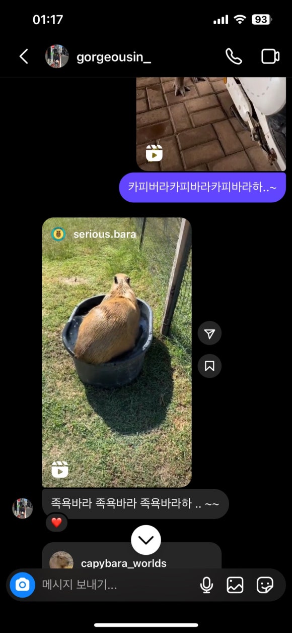 카피홀릭 이미지