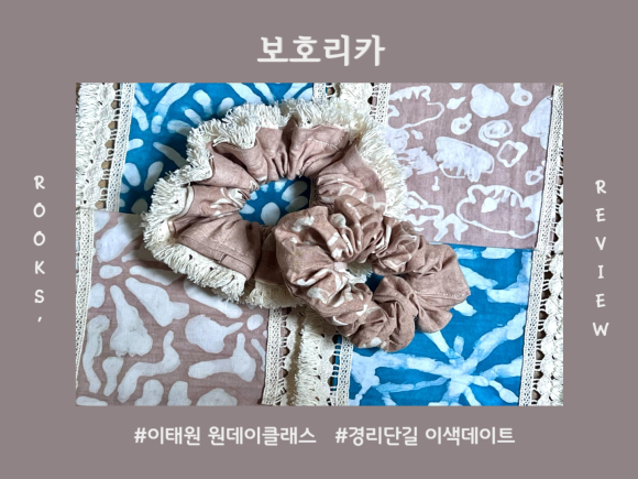 보호리카 이미지