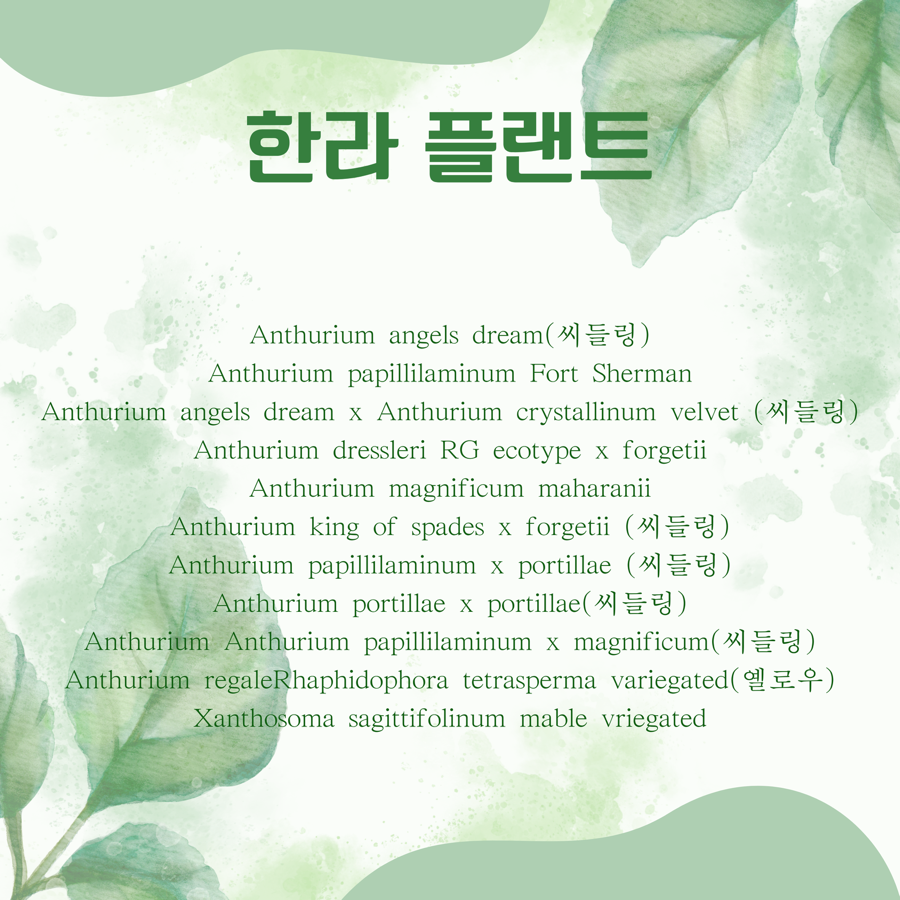 풀마켓 이미지