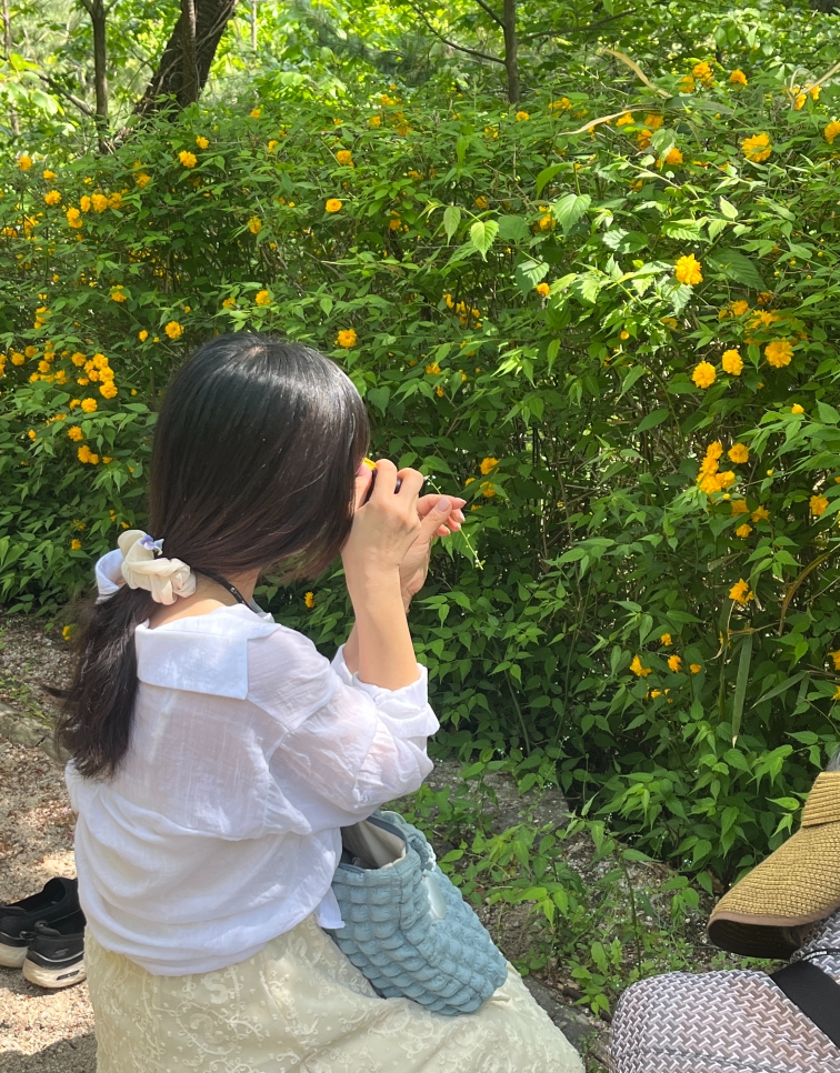플랜티스트 이미지