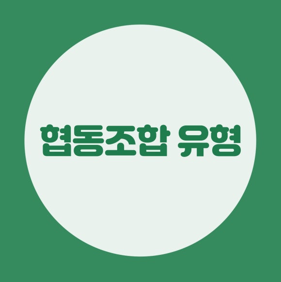 사회적협동조합하우올리 이미지
