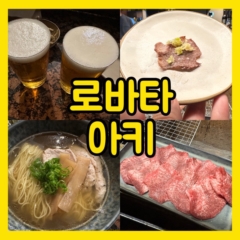로바타아키 이미지
